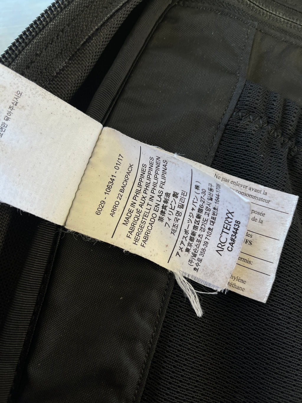 Arc’teryx Arro 22 Backpack