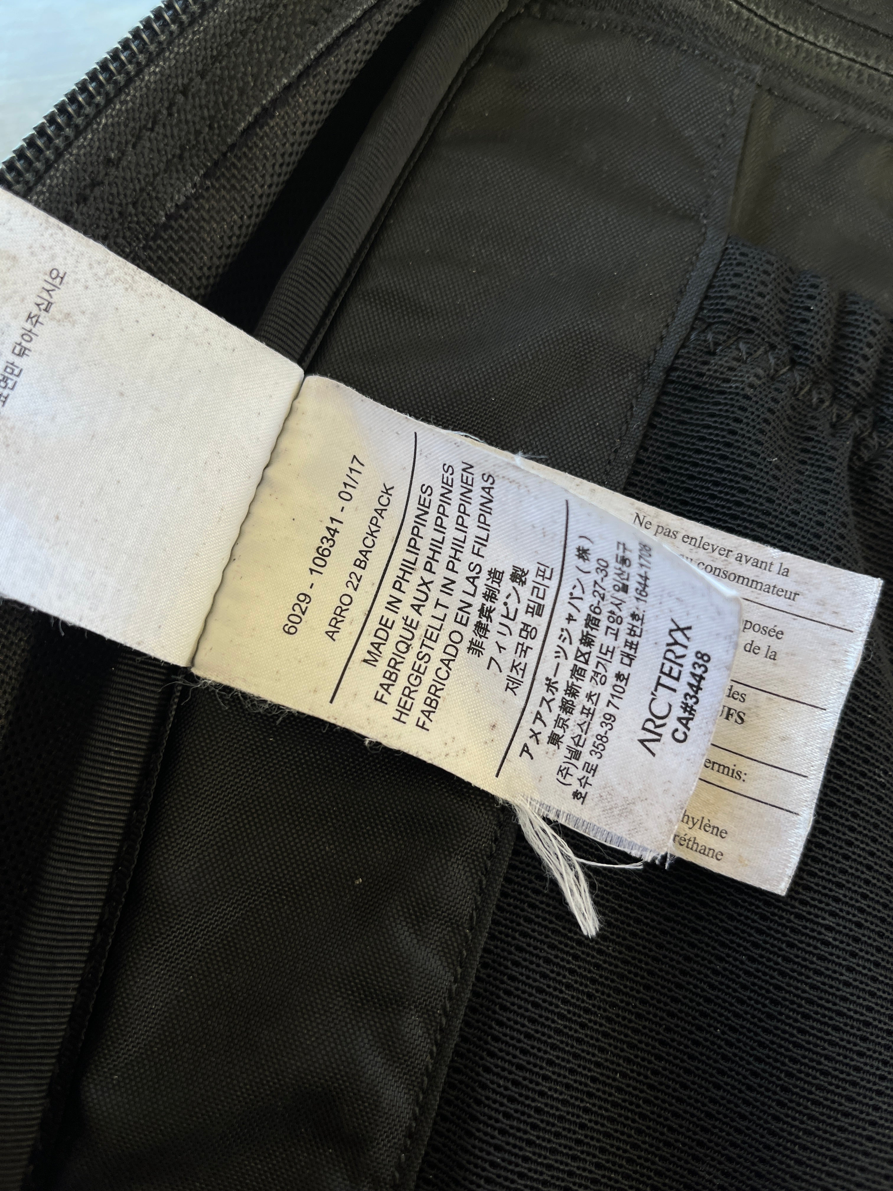Arc’teryx Arro 22 Backpack